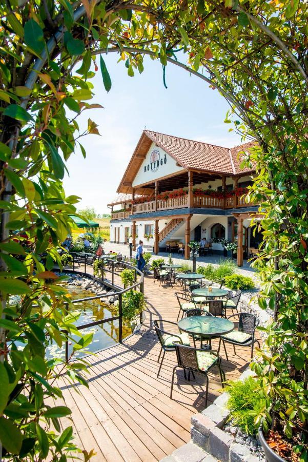 Kotyogo Panzio Bed and Breakfast Lupeni  Buitenkant foto